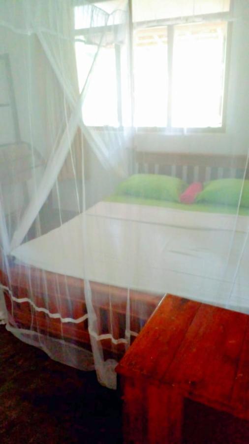 Talalla Bay Inn Beach Bangolow Экстерьер фото